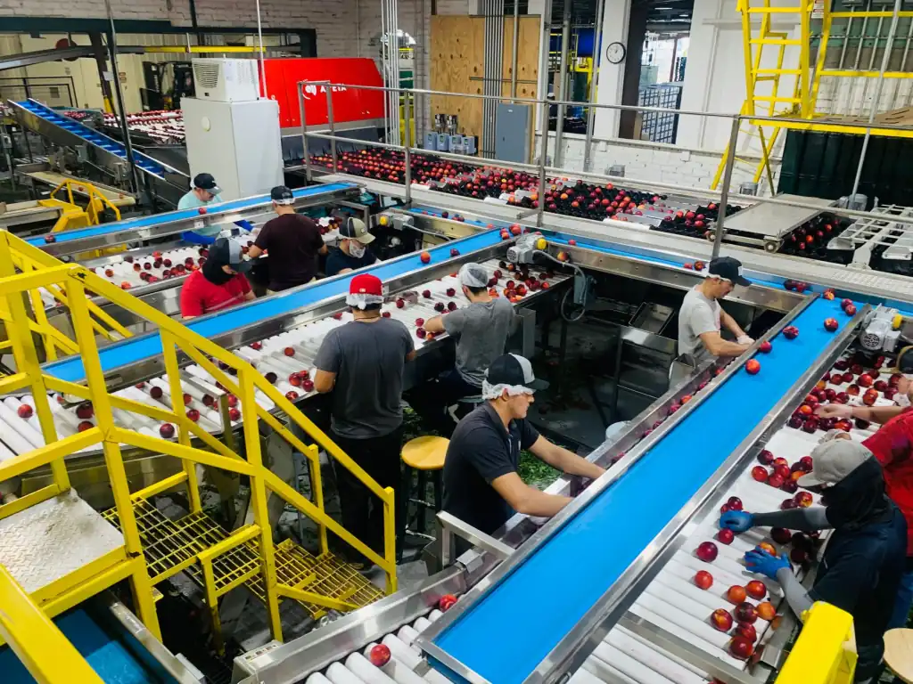 武汉牛伯伯积木玩具与拼图产品线对比分析